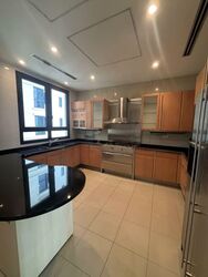 Ardmore Park (D10), Condominium #549745311